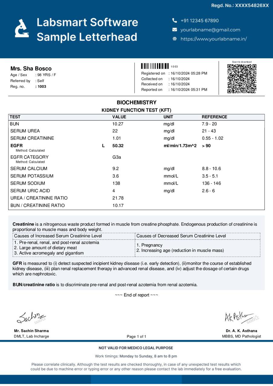 Kidney Function Test (KFT) Report Format