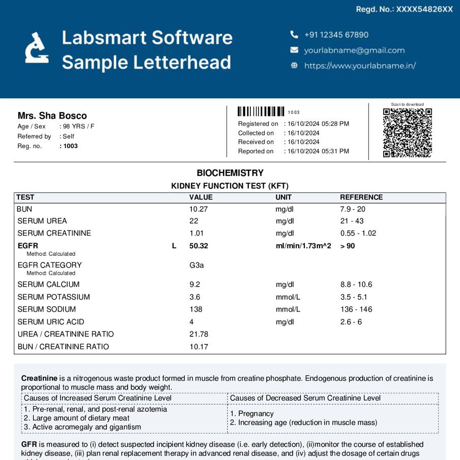 Kidney Function Test KFT Report Format   MS Word & Pdf